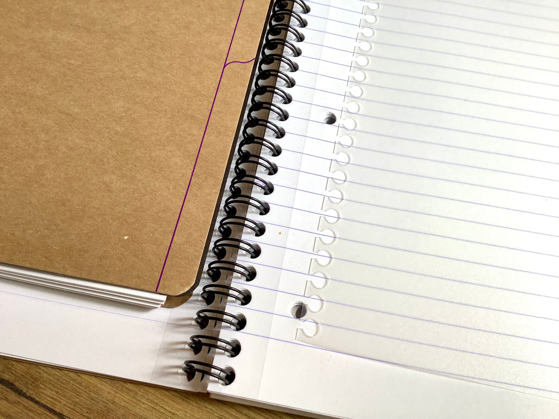 Projektbuch liniert mit herausnehmbaren Registerseiten aus transparentem Polypropylen
