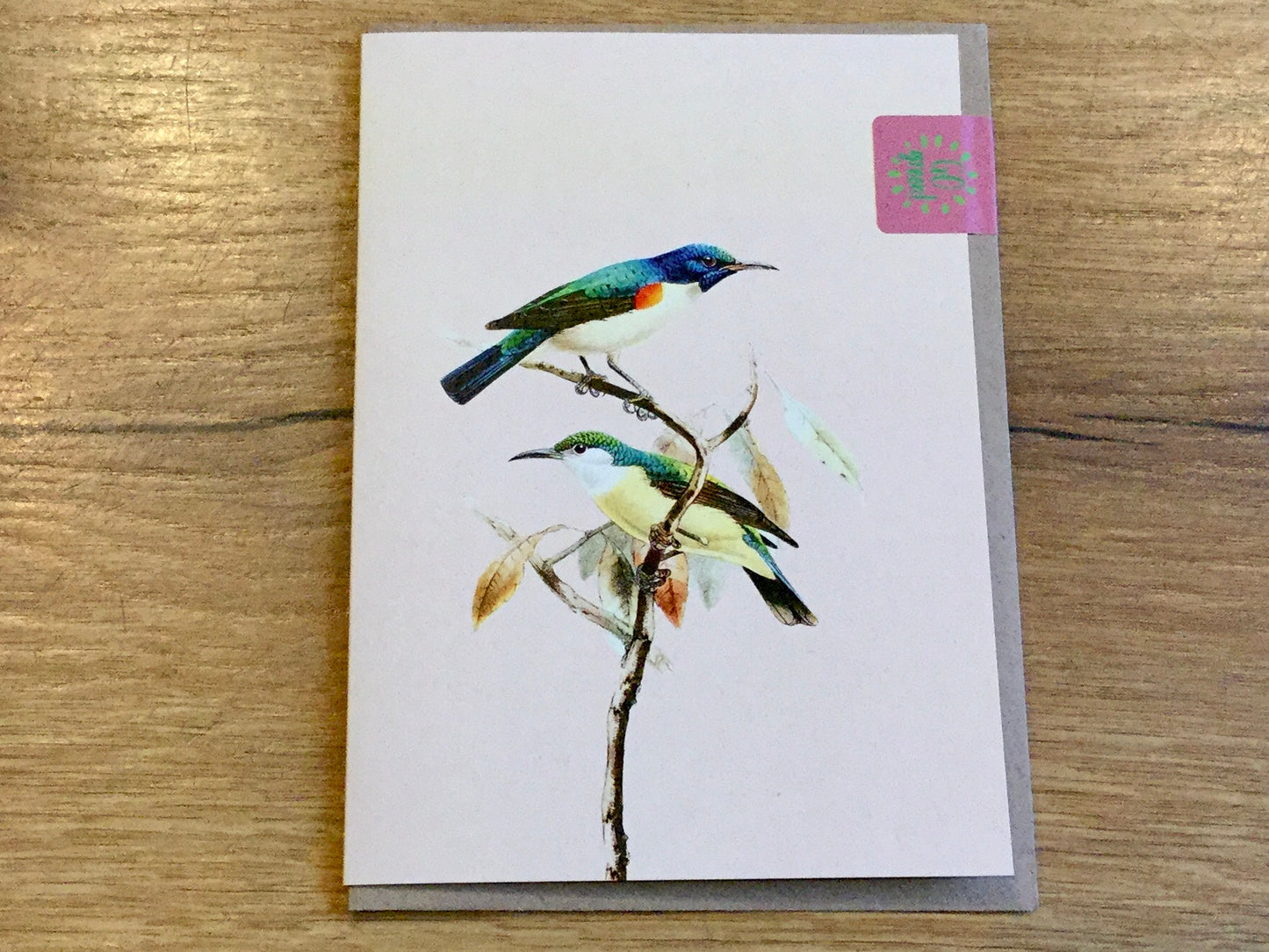Briefkarte A6 „30x40“ Pflanzen+Tiere Recycling°