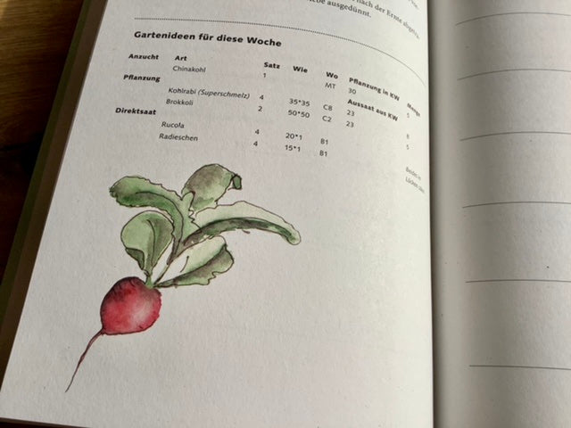 Wochenkalender zeitlos TaschenGARTEN Notizbuch