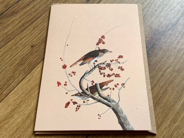 Briefkarte A6 „30x40“ Pflanzen+Tiere Recycling°