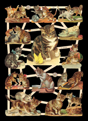 Glanzbilder Katzen 7407 nostalgisch - Polly Paper - Umweltfreundliche Schreibwaren