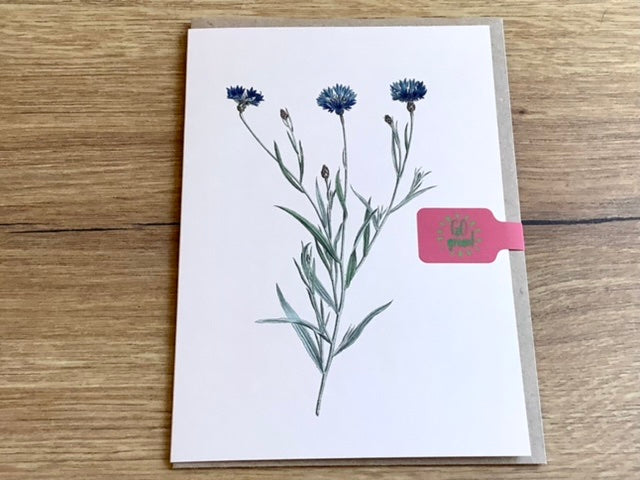 Briefkarte A6 „30x40“ Pflanzen+Tiere Recycling°