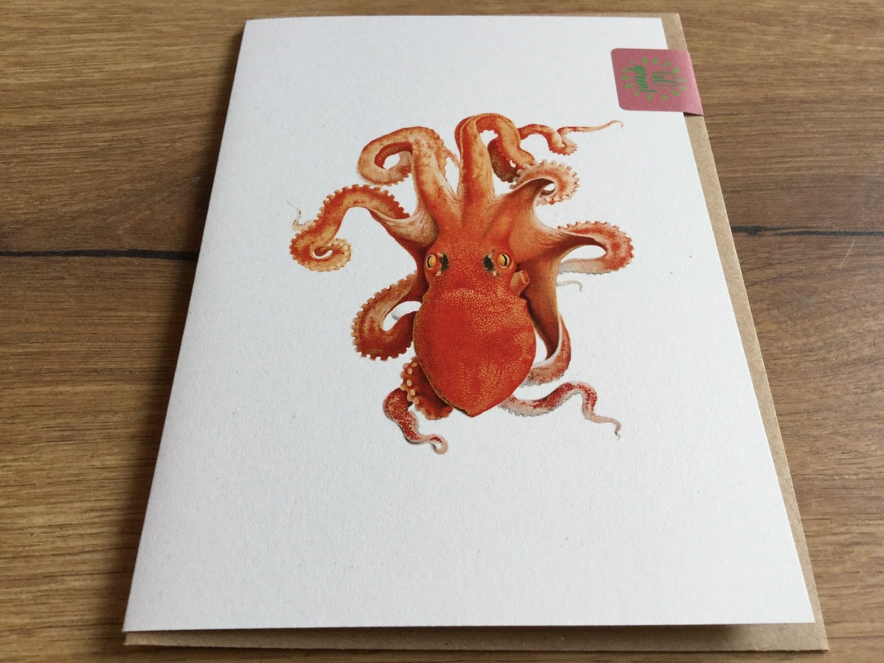 Briefkarte A6 „30x40“ Pflanzen+Tiere Recycling°