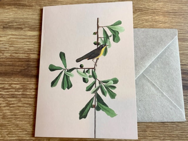 Briefkarte A6 „30x40“ Pflanzen+Tiere Recycling°