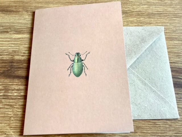Briefkarte A6 „30x40“ Pflanzen+Tiere Recycling°
