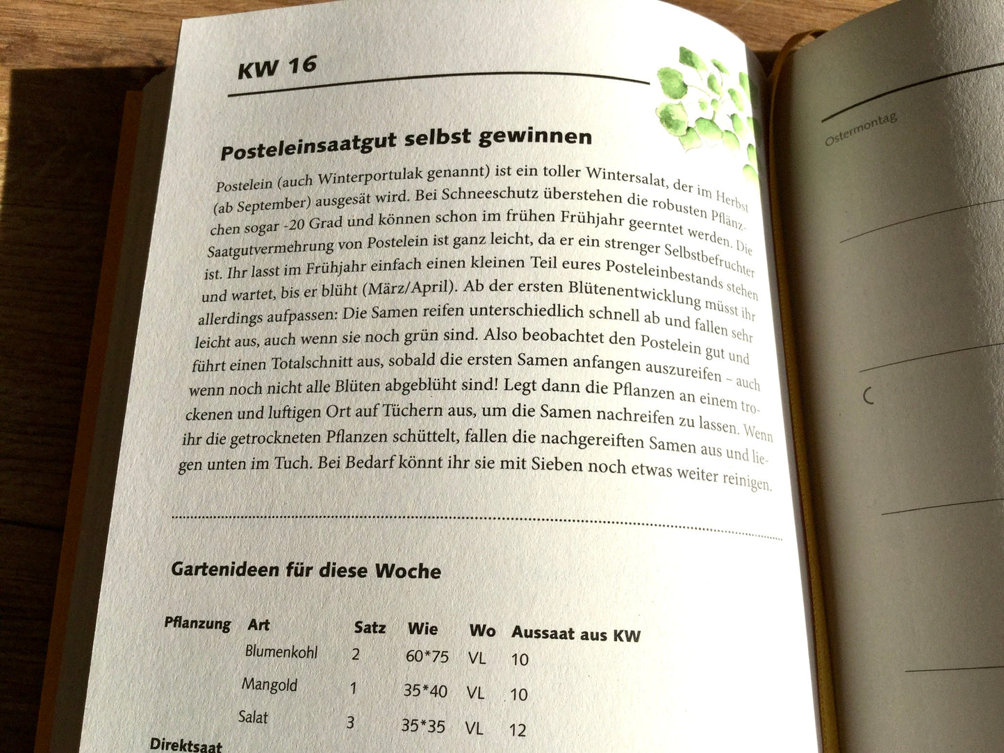 Wochenkalender zeitlos TaschenGARTEN Notizbuch