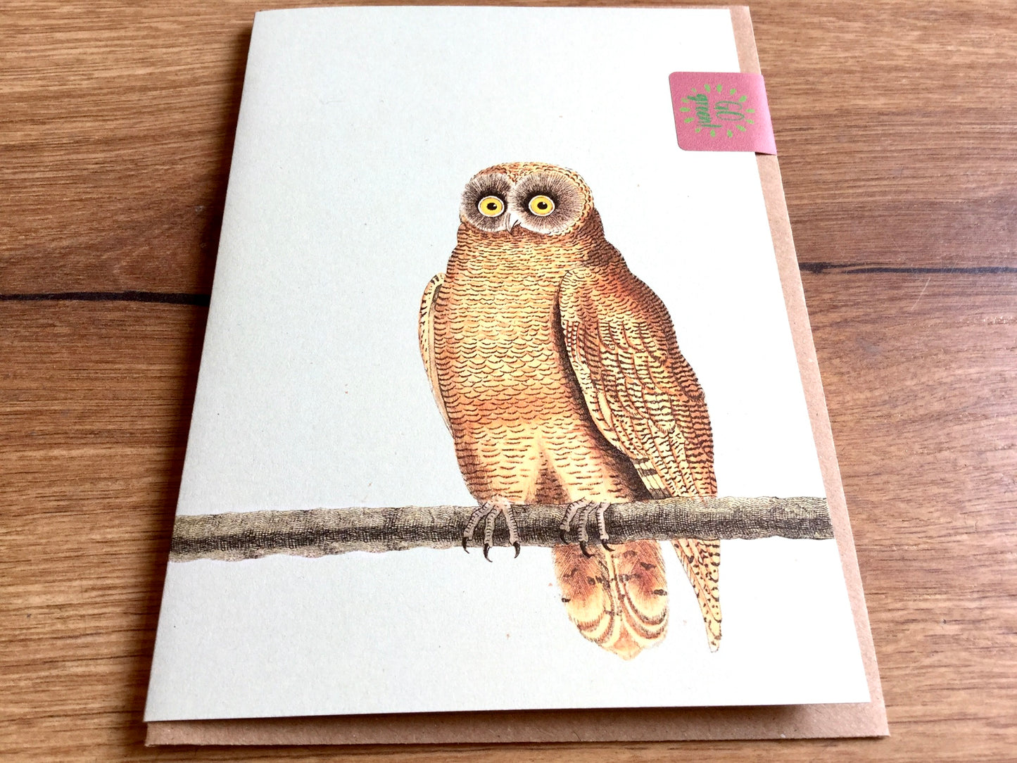 Briefkarte A6 „30x40“ Pflanzen+Tiere Recycling°