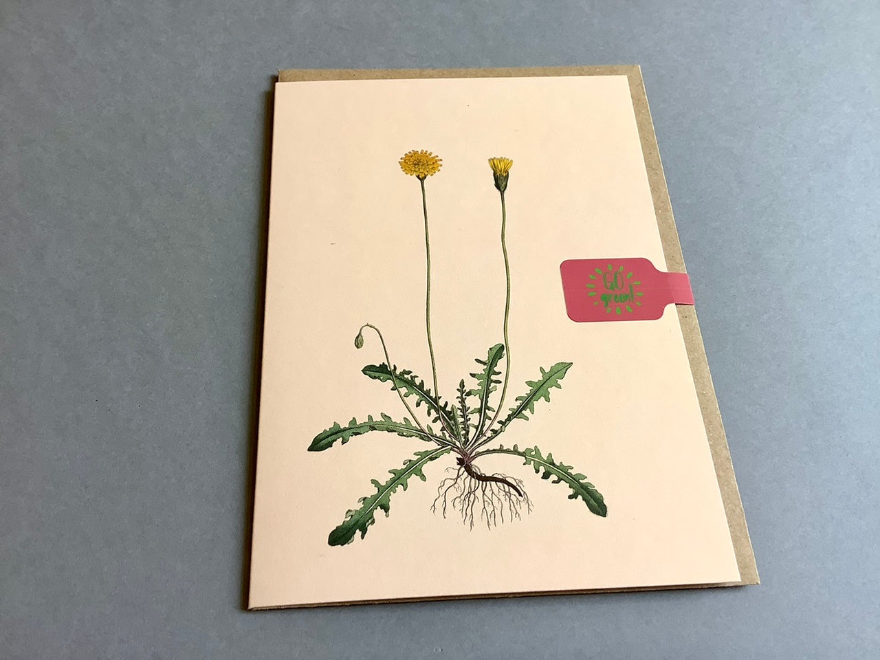 Briefkarte A6 „30x40“ Pflanzen+Tiere Recycling°