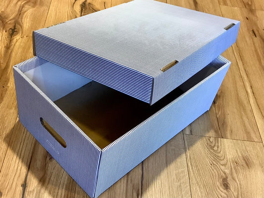10 Plempelkisten 40x28x16 Papiertiger blauweiß