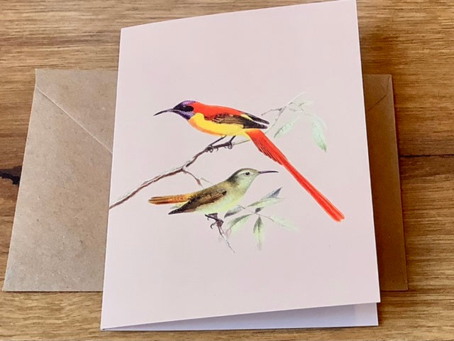 Briefkarte A6 „30x40“ Pflanzen+Tiere Recycling°