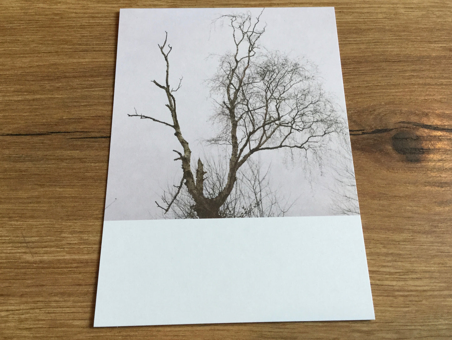 Postkarte Jennifer Deinzer Fotos A6° - Polly Paper - Umweltfreundliche Schreibwaren