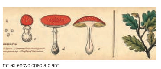 mt tape Plants encyclopedia 3cm 7m