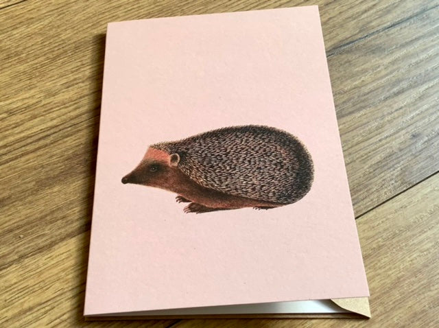 Briefkarte A6 „30x40“ Pflanzen+Tiere Recycling°