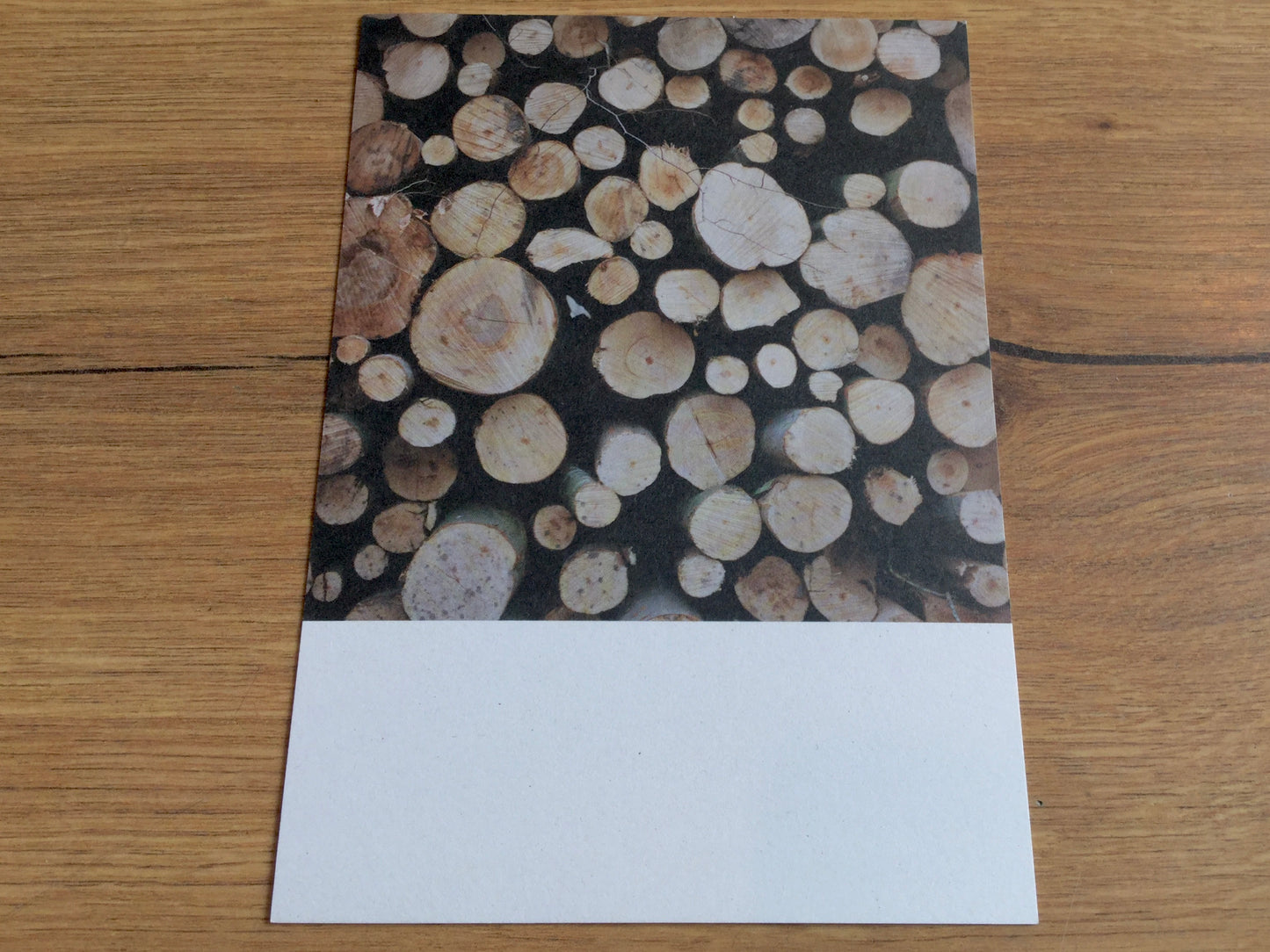 Postkarte Jennifer Deinzer Fotos A6° - Polly Paper - Umweltfreundliche Schreibwaren