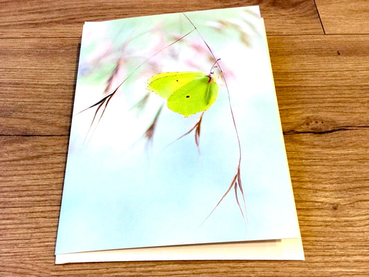 Briefkarte „Schwerelos“ (art+nature)