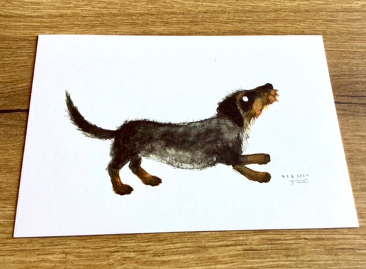 Weiße Postkarte mit einem gemalten Rauhaardackel darauf