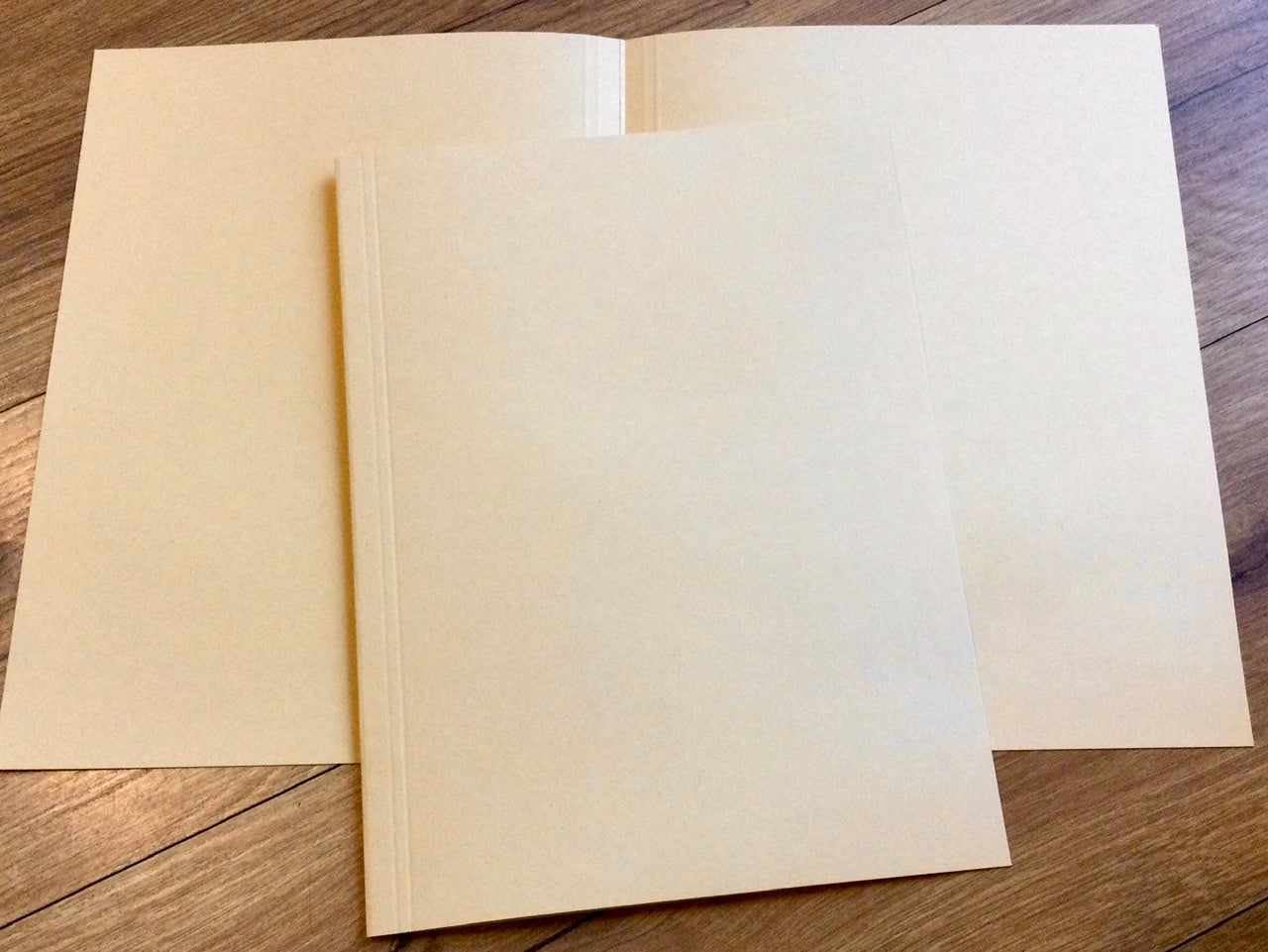 Chamoisfarbener Aktendeckel von FALKEN aus Recyclingkarton - erhältlich bei Polly Paper - Umweltfreundliche Schreibwaren / Bürobedarf in Berlin-Mitte