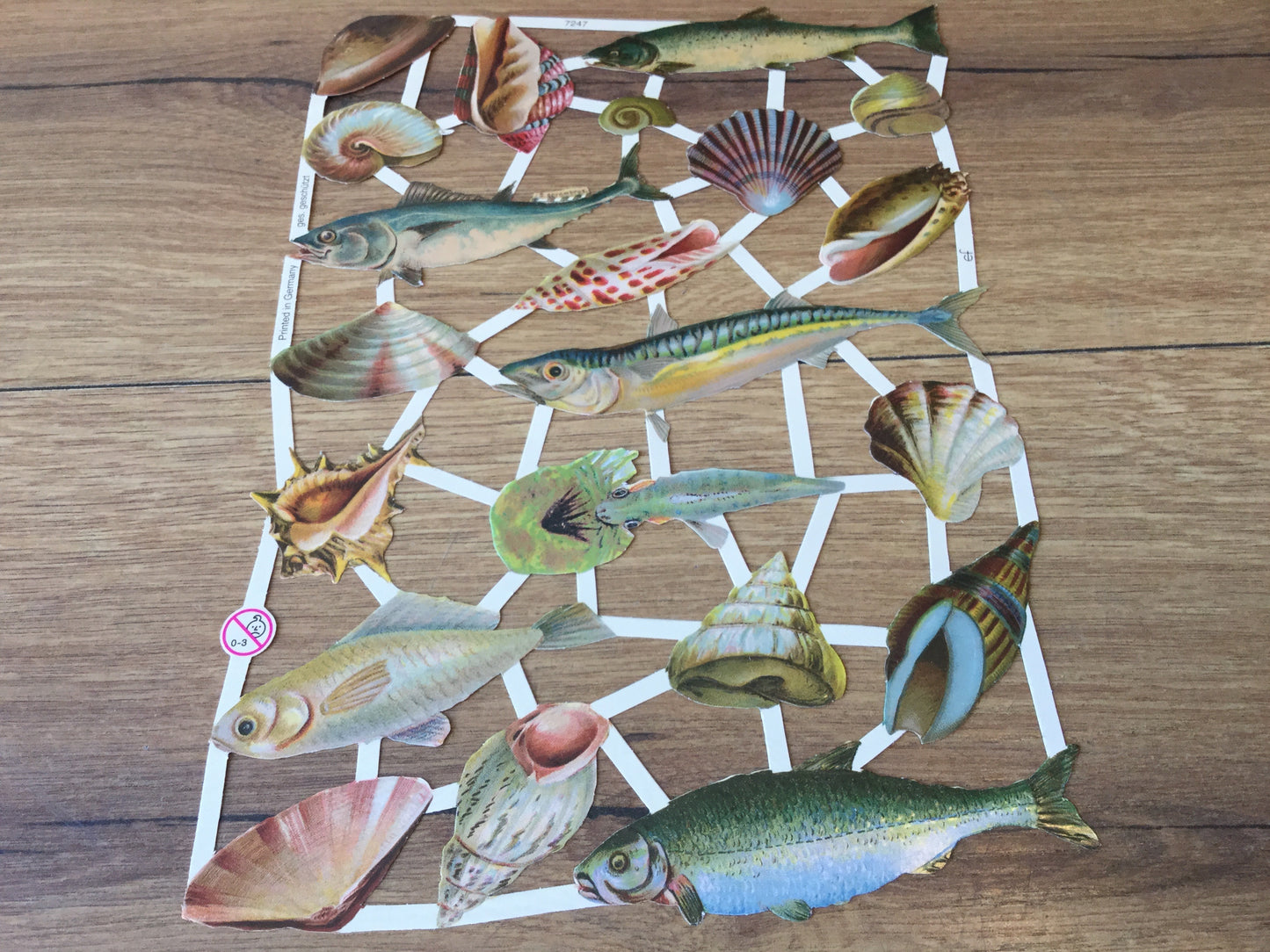 Nostalgische Glanzbilder (Oblaten), Fische und Muscheln