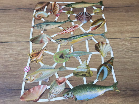 Nostalgische Glanzbilder (Oblaten), Fische und Muscheln