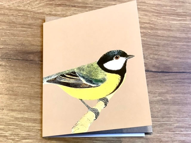 Kleine Grußkarte Vögel A7 („30x40“)°