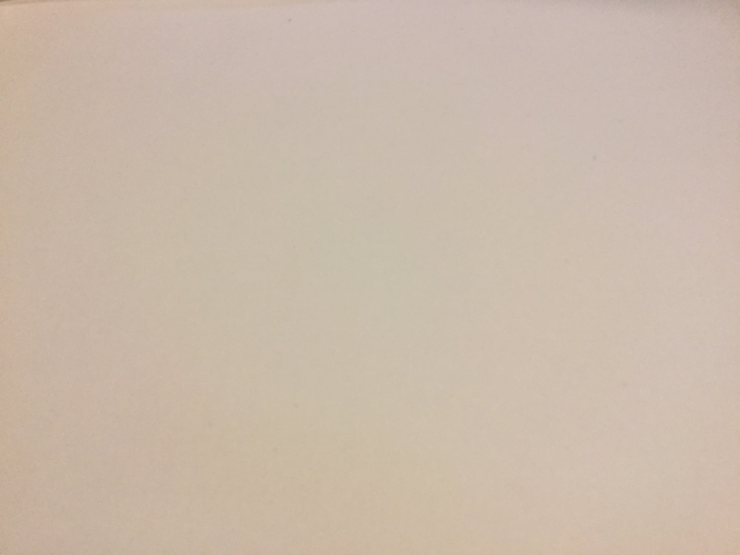 Fotokarton 50x70cm Plakat 300g Recycling° - Polly Paper - Umweltfreundliche Schreibwaren