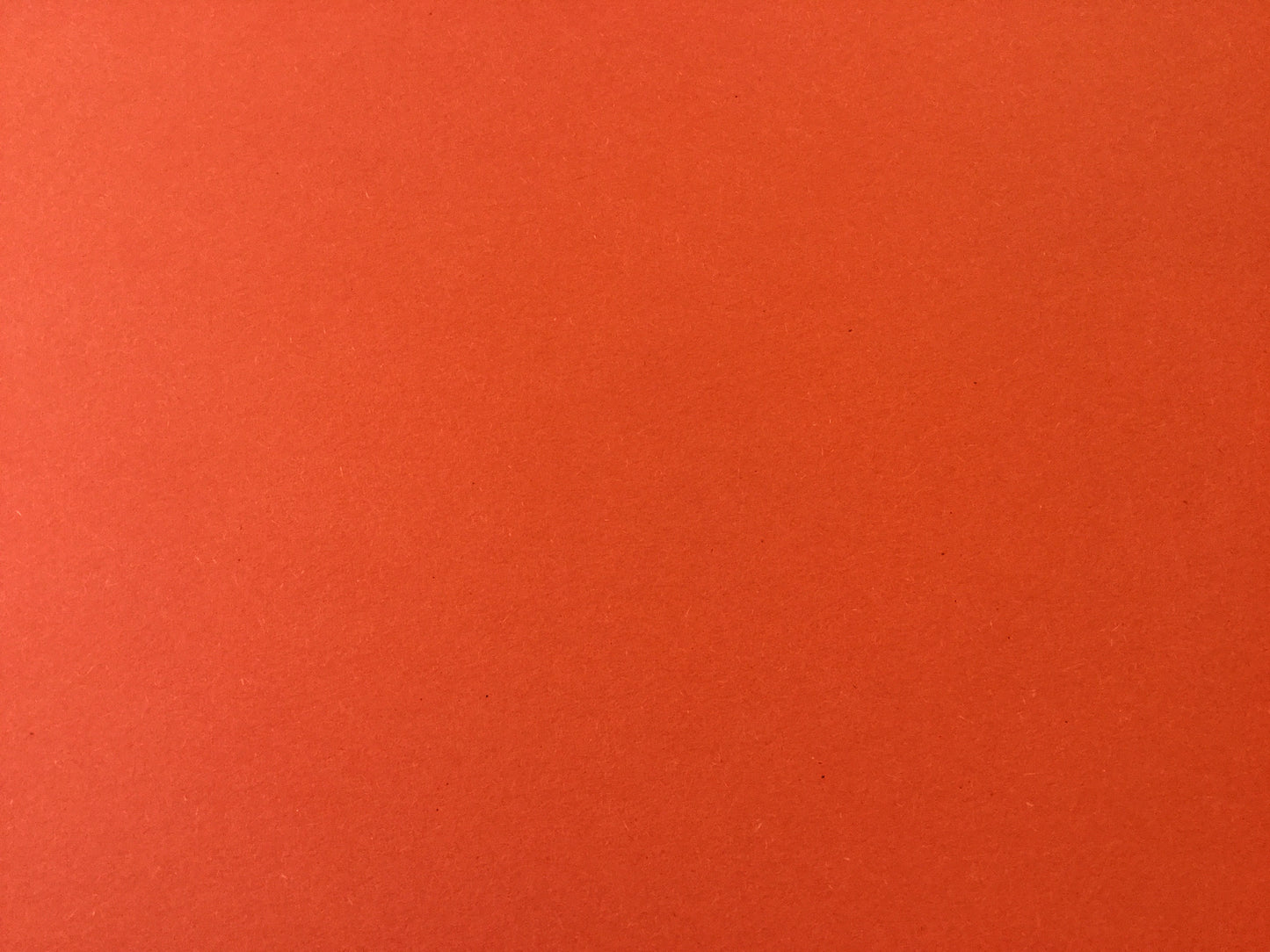 Fotokarton 50x70cm Plakat 300g Recycling° - Polly Paper - Umweltfreundliche Schreibwaren