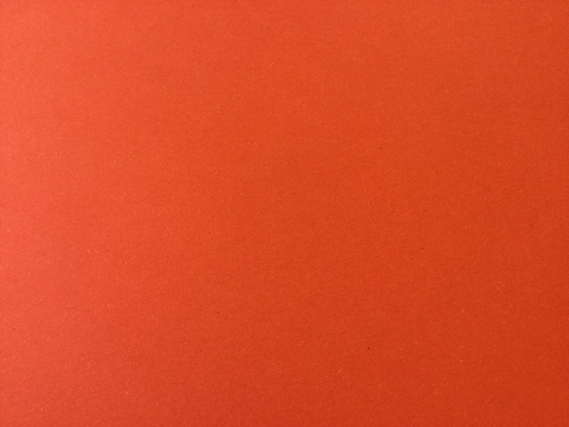 Fotokarton 50x70cm Plakat 300g Recycling° - Polly Paper - Umweltfreundliche Schreibwaren