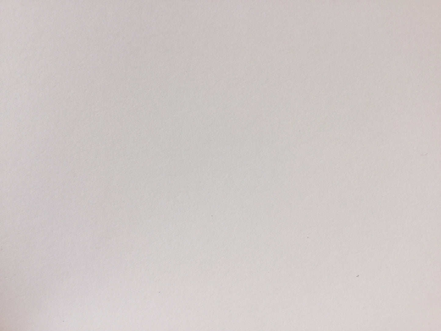 Fotokarton 50x70cm Plakat 300g Recycling° - Polly Paper - Umweltfreundliche Schreibwaren