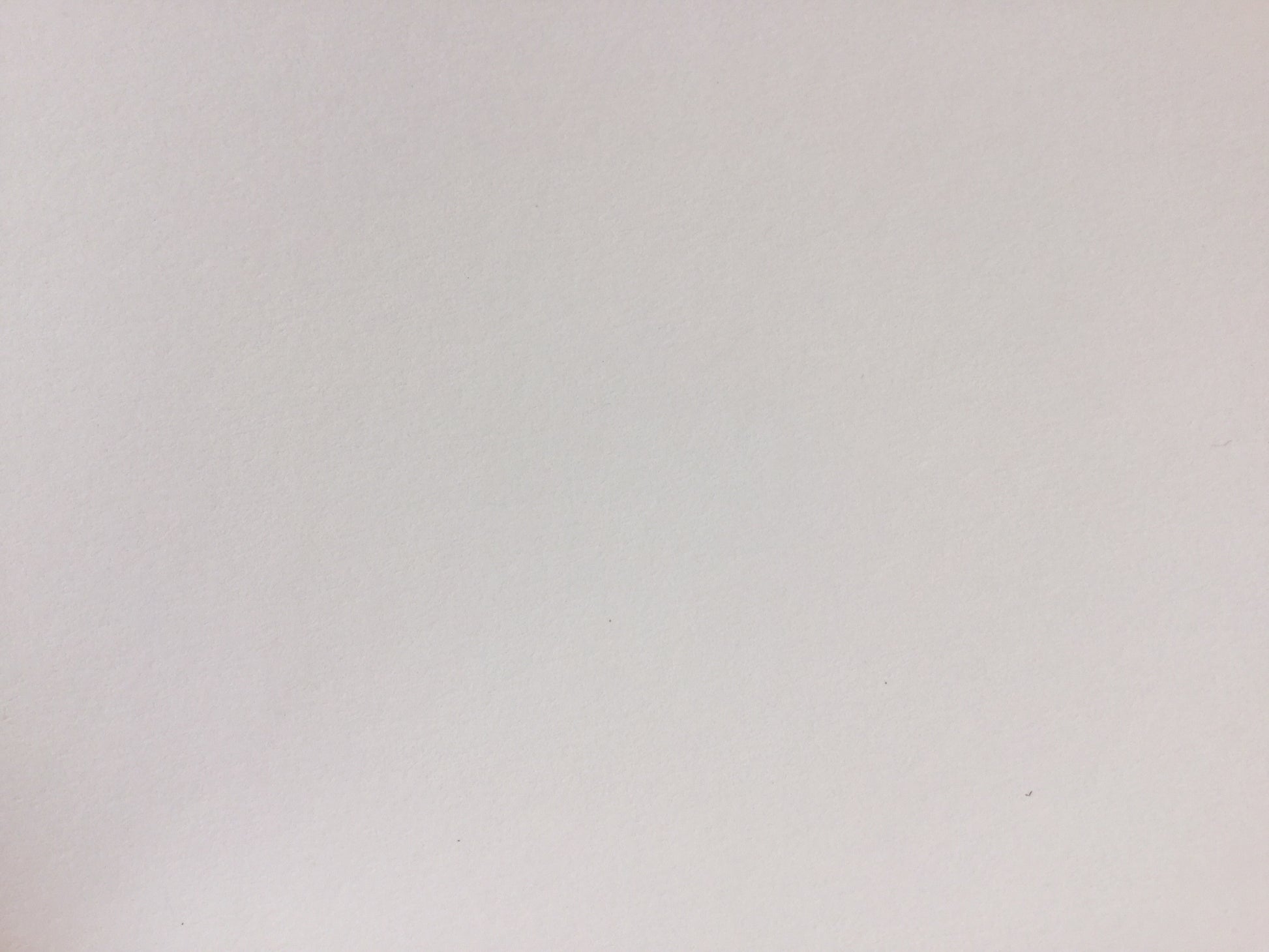 Fotokarton 50x70cm Plakat 300g Recycling° - Polly Paper - Umweltfreundliche Schreibwaren