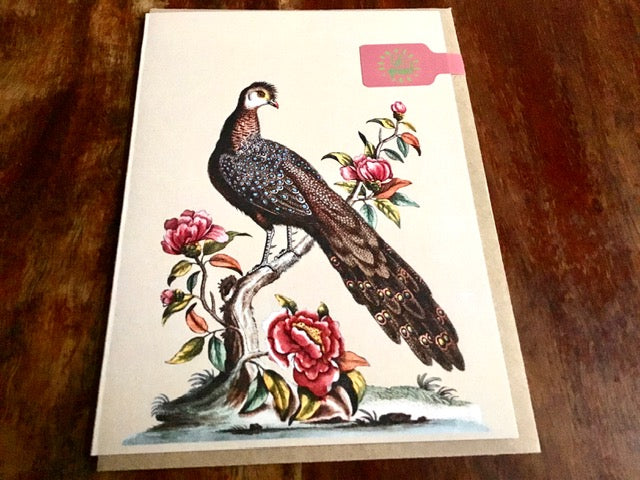 Briefkarte A6 „30x40“ Pflanzen+Tiere Recycling°